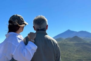 Wonders of Tenerife - Scenery Road Tour - Private