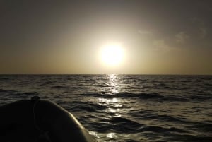Aventura en zodiac: Excursión de snorkel o paddle surf