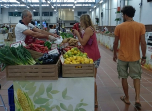 Agricultural Market every Saturday and Sunday in Valle San Lorenzo