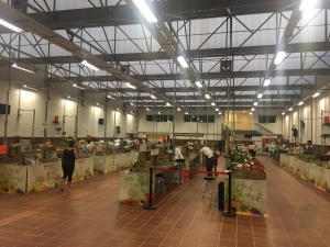 Agricultural Market every Saturday and Sunday in Valle San Lorenzo