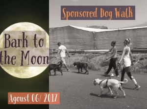 Bark to the Moon Dog Walk