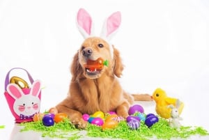 Easter Egg Hunt Fund Raising Afternoon