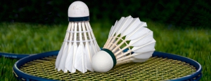 Spain National Badminton Tournament in Adeje