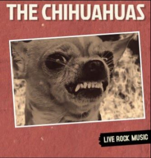 Chihuahuas spiller på Vault Bar