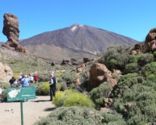 Top 10 Attractions in Tenerife
