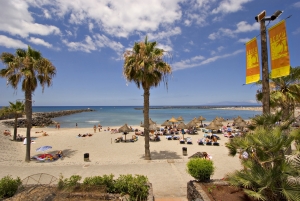 El Camison beach, Playa de las Americas