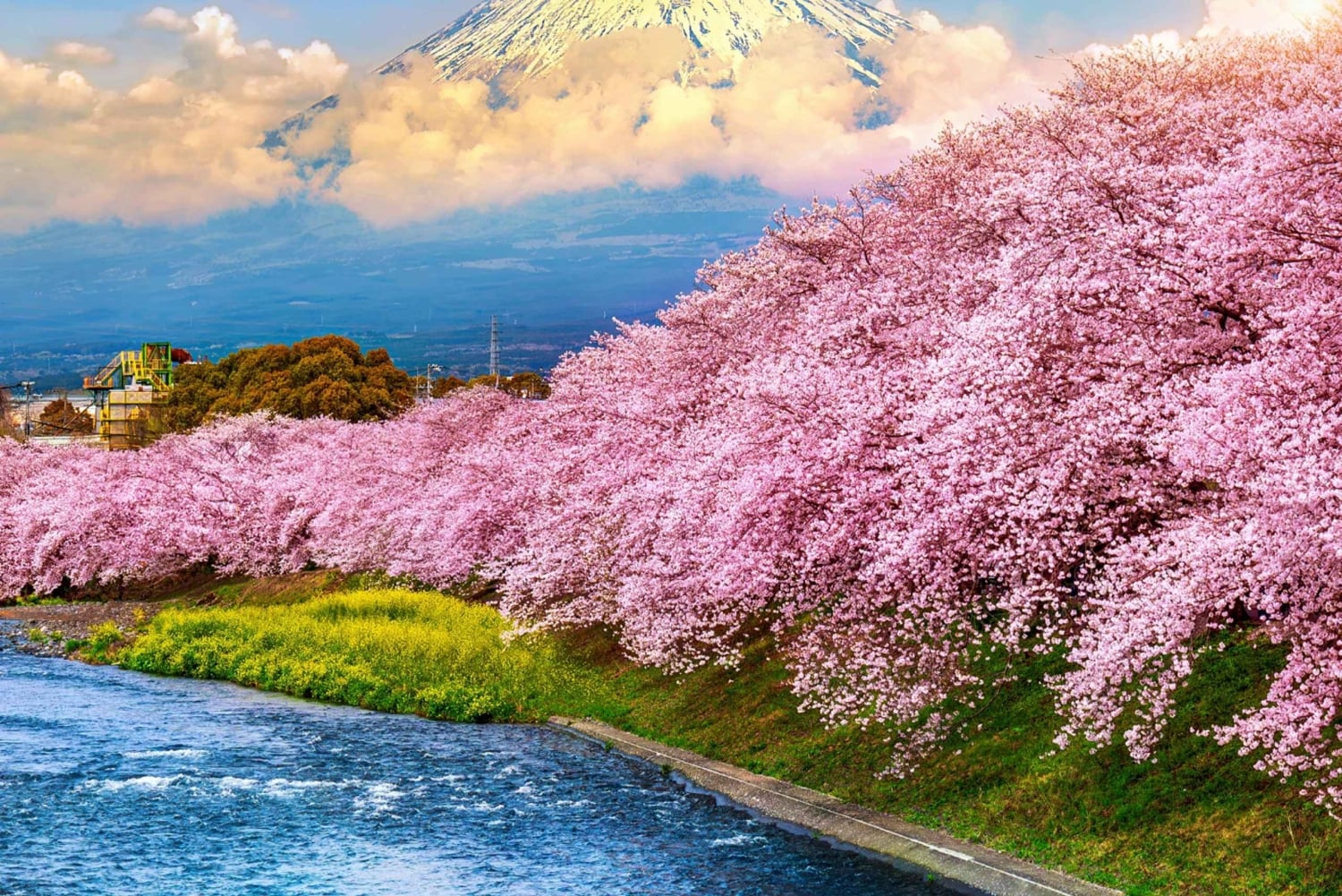 From Tokyo: Mt Fuji Private Day Tour In Luxury Land Cruiser