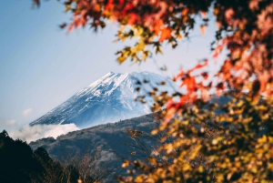1-dags udflugt til Fuji-bjerget og Hakone fra Tokyo