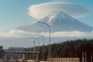 1-dags udflugt til Fuji-bjerget og Hakone fra Tokyo