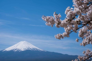 1-dags udflugt til Fuji-bjerget og Hakone fra Tokyo