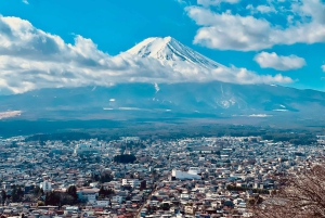 1-dags udflugt til Fuji-bjerget og Hakone fra Tokyo