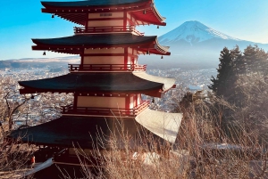 1-dags udflugt til Fuji-bjerget og Hakone fra Tokyo