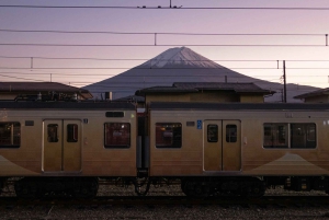 1-dags udflugt til Fuji-bjerget og Hakone fra Tokyo