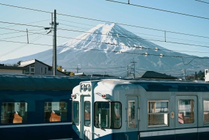 1-dags udflugt til Fuji-bjerget og Hakone fra Tokyo