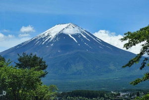 1-dags udflugt til Fuji-bjerget og Hakone fra Tokyo