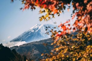 Excursão de 1 dia ao Monte Fuji saindo de Tóquio