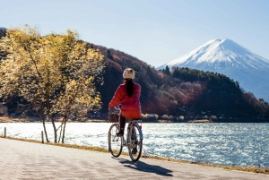 Excursão de 1 dia ao Monte Fuji saindo de Tóquio