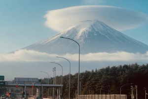 Excursão de 1 dia ao Monte Fuji saindo de Tóquio