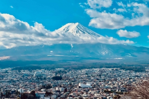 Excursão de 1 dia ao Monte Fuji saindo de Tóquio