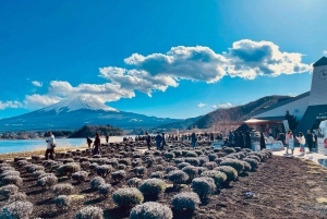 Excursão de 1 dia ao Monte Fuji saindo de Tóquio