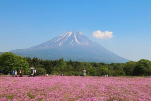 Excursão de 1 dia ao Monte Fuji saindo de Tóquio