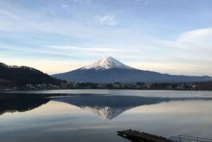 Excursão de 1 dia ao Monte Fuji saindo de Tóquio