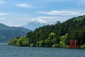 Excursão de 1 dia ao Monte Fuji saindo de Tóquio