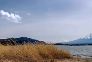 Excursão de 1 dia ao Monte Fuji saindo de Tóquio