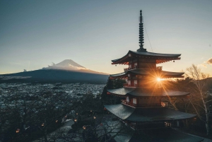 Excursão de 1 dia ao Monte Fuji saindo de Tóquio