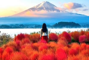 Privat Fuji-sightseeing dagstur med engelsk guide