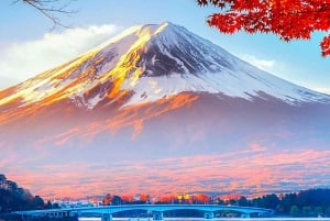 Privat Fuji-sightseeing dagstur med engelsk guide