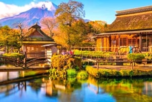 Privat Fuji-sightseeing dagstur med engelsk guide