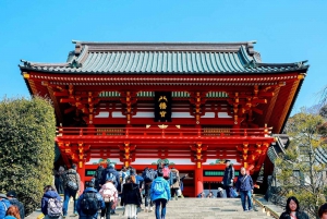 1-dniowa wycieczka do Kamakura Budda, Enoshima, sanktuarium z Tokio