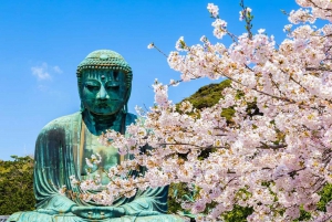 1-dniowa wycieczka do Kamakura Budda, Enoshima, sanktuarium z Tokio