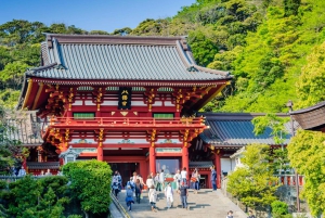 1-dniowa wycieczka do Kamakura Budda, Enoshima, sanktuarium z Tokio