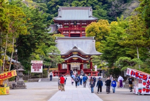 1-dniowa wycieczka do Kamakura Budda, Enoshima, sanktuarium z Tokio