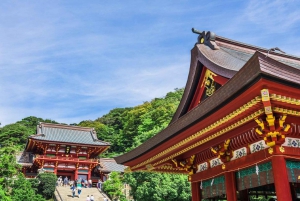 1-dniowa wycieczka do Kamakura Budda, Enoshima, sanktuarium z Tokio