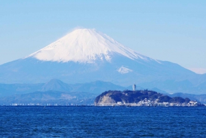 1-dniowa wycieczka do Kamakura Budda, Enoshima, sanktuarium z Tokio