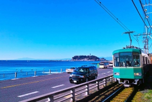 1-dniowa wycieczka do Kamakura Budda, Enoshima, sanktuarium z Tokio