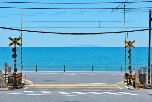 1-dniowa wycieczka do Kamakura Budda, Enoshima, sanktuarium z Tokio