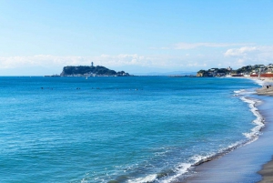 1-dniowa wycieczka do Kamakura Budda, Enoshima, sanktuarium z Tokio