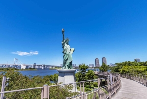 2 dagar från Tokyo till Osaka med varma källor