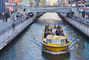 2 dagar från Tokyo till Osaka med varma källor