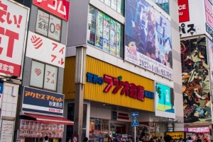 2 dagar från Tokyo till Osaka med varma källor