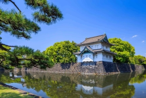 2 dagar från Tokyo till Osaka med varma källor