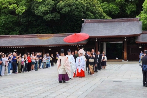 2-dniowa wycieczka zorganizowana z odbiorem z lotniska Haneda