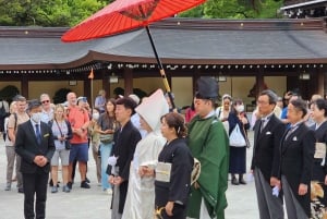 2-dniowa wycieczka zorganizowana z odbiorem z lotniska Haneda