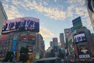 2-dniowa wycieczka zorganizowana z odbiorem z lotniska Haneda