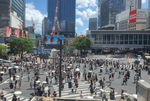 2-dniowa wycieczka zorganizowana z odbiorem z lotniska Haneda