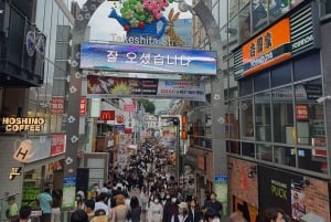 2-dniowa wycieczka zorganizowana z odbiorem z lotniska Haneda